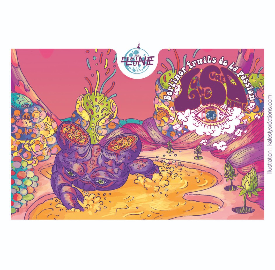 Berliner Weisse Passion - BIO 3